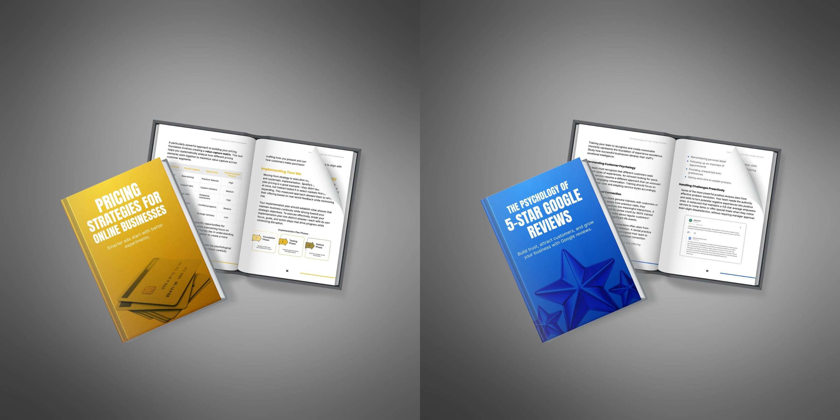 Business and entrepreneurship PLR ebooks