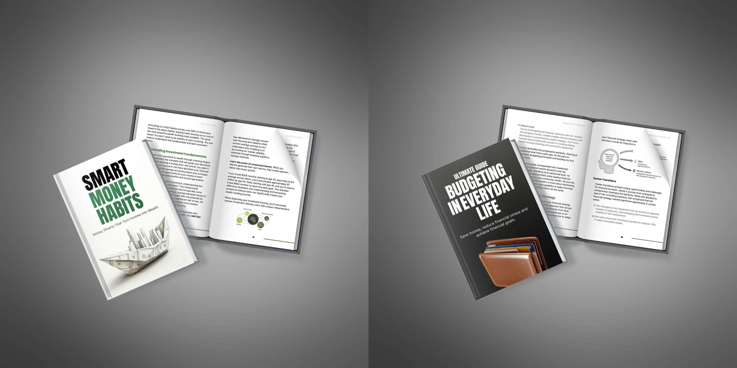 Financial planning and money management PLR ebooks