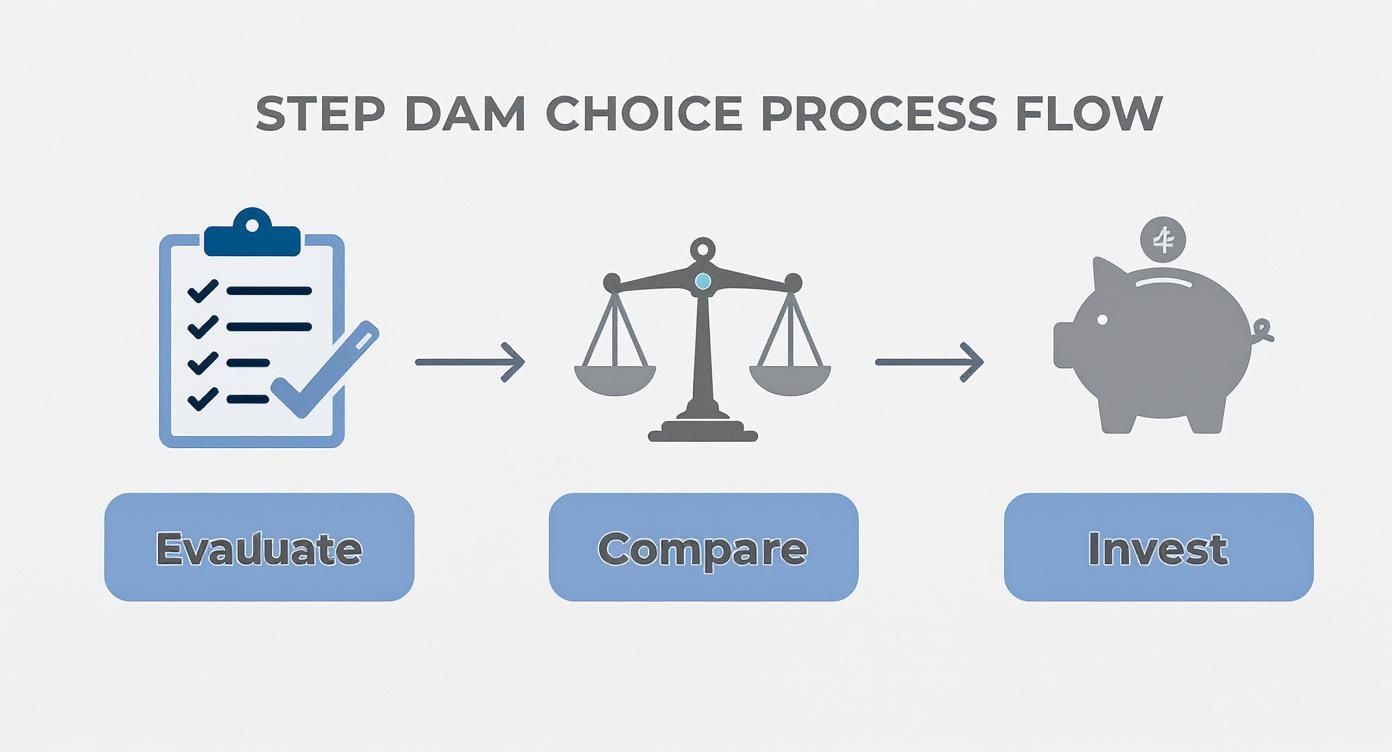 Infographic about digital asset management for small business
