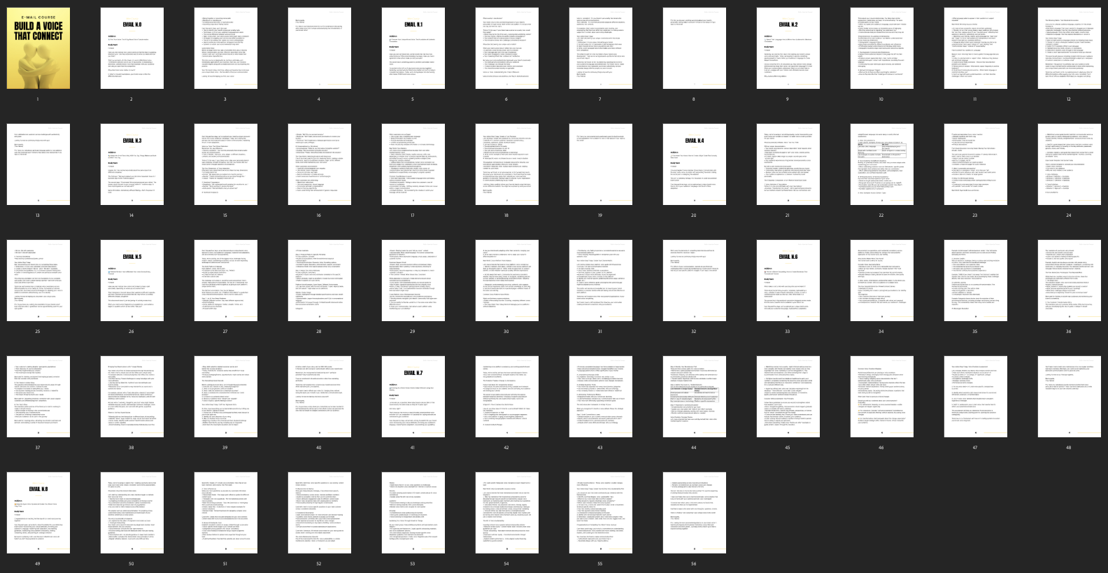 Entrepedia 1747924091553-Build-a-Voice-that-Connect---Mini-Course