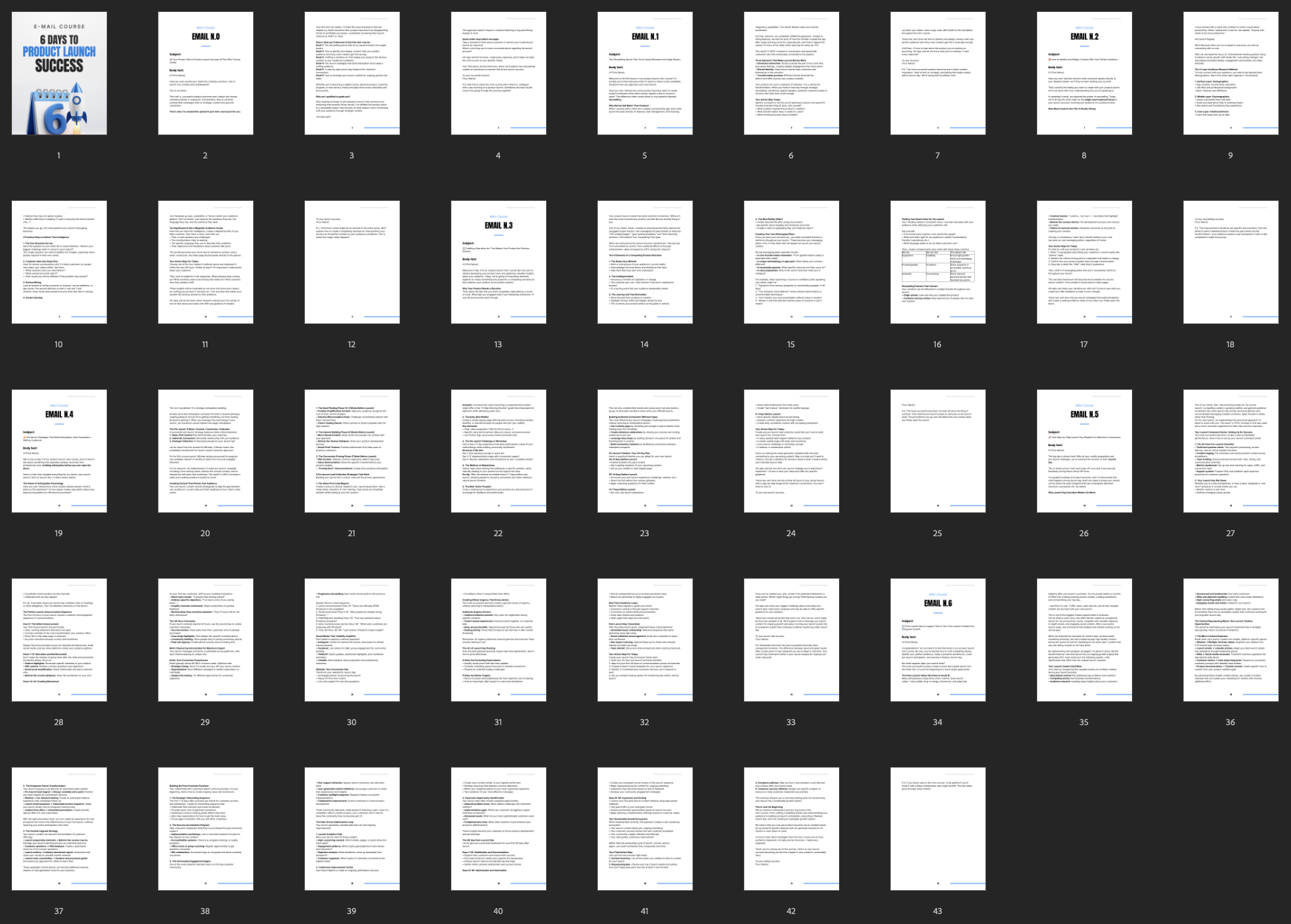 Entrepedia 1761031093157-6-Days-to-Product-Launch-Success---Mini-Course