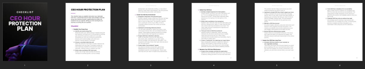 Entrepedia 1761574779730-CEO-Hour-Protection-Plan---Checklist