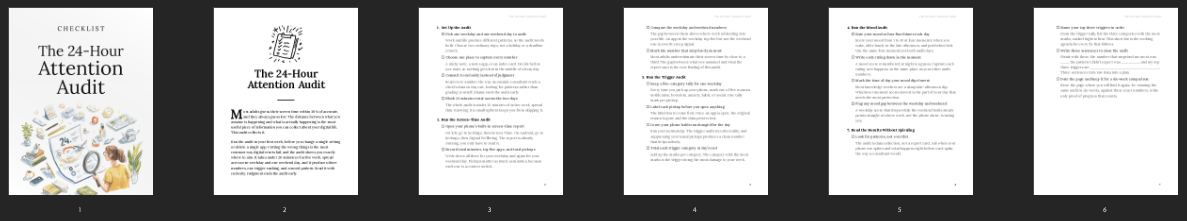 Entrepedia 1783417182487-The-24-Hour-Attention-Audit---Checklist