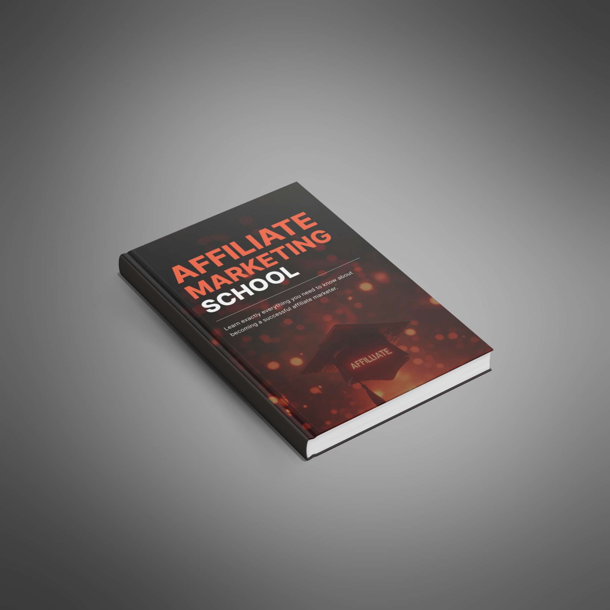 Affiliate Marketing School - Main Image