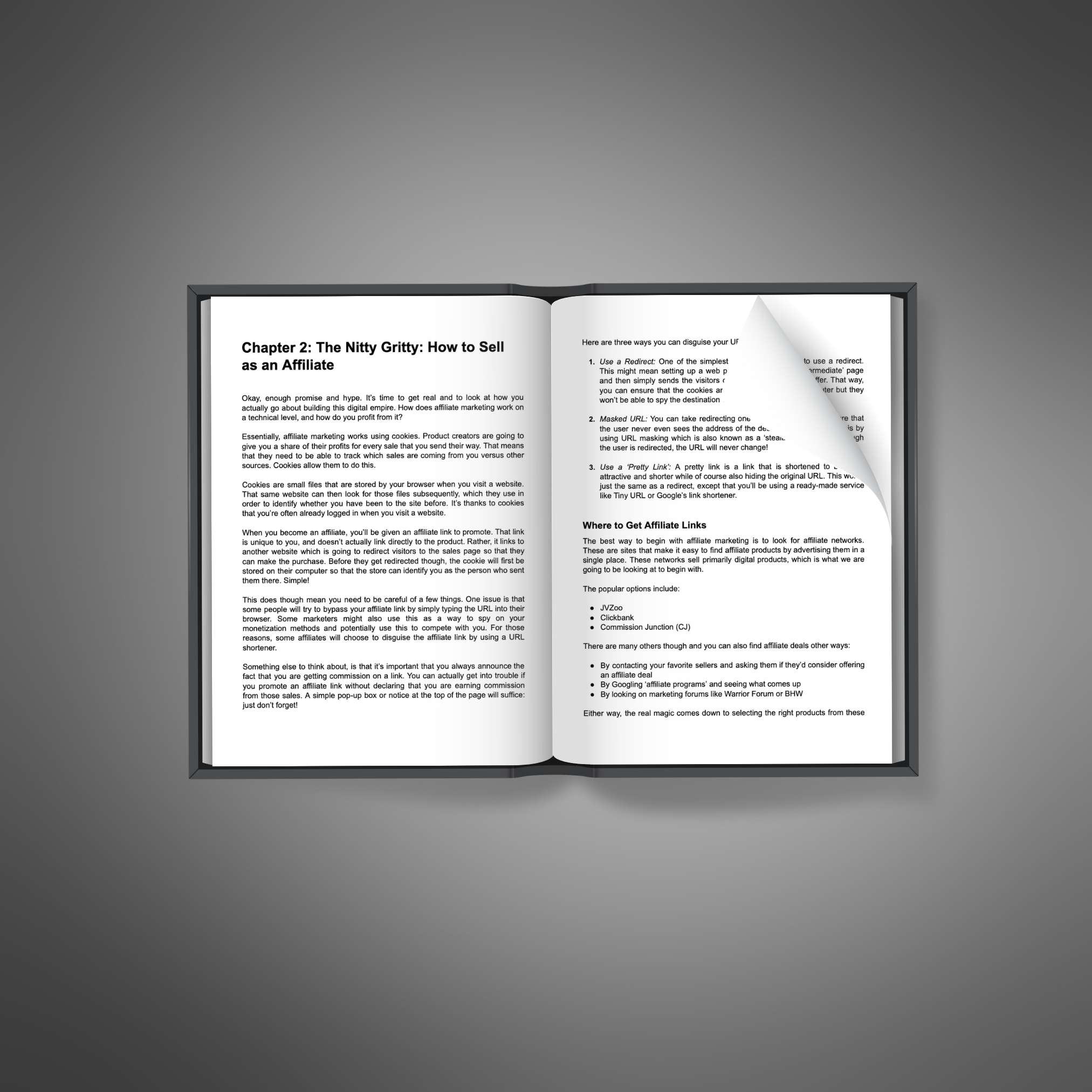 Affiliate Marketing School - Image 2