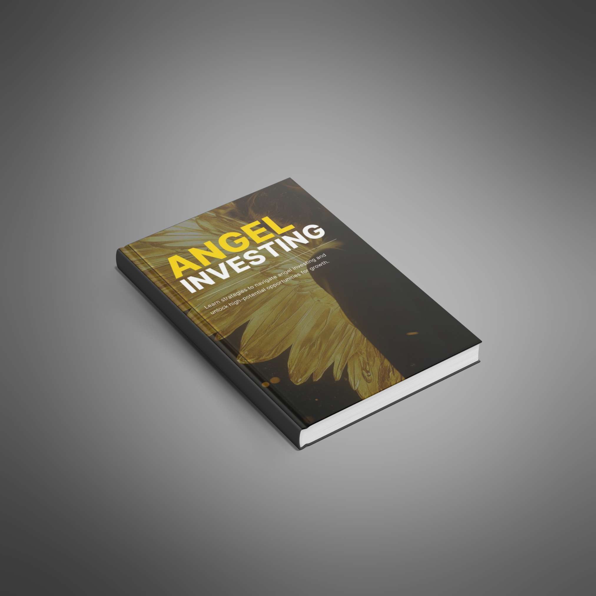 Angel Investing - Ebook - Main Image