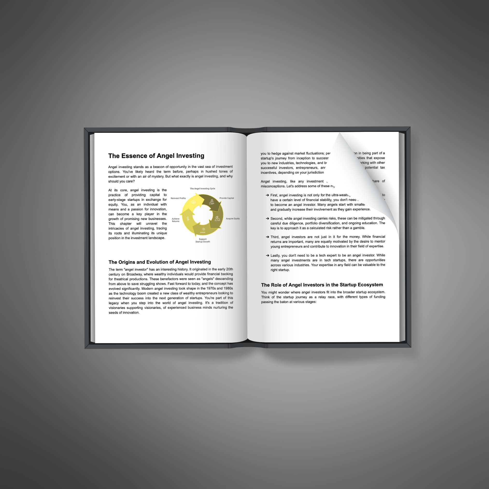 Angel Investing - Ebook - Image 2
