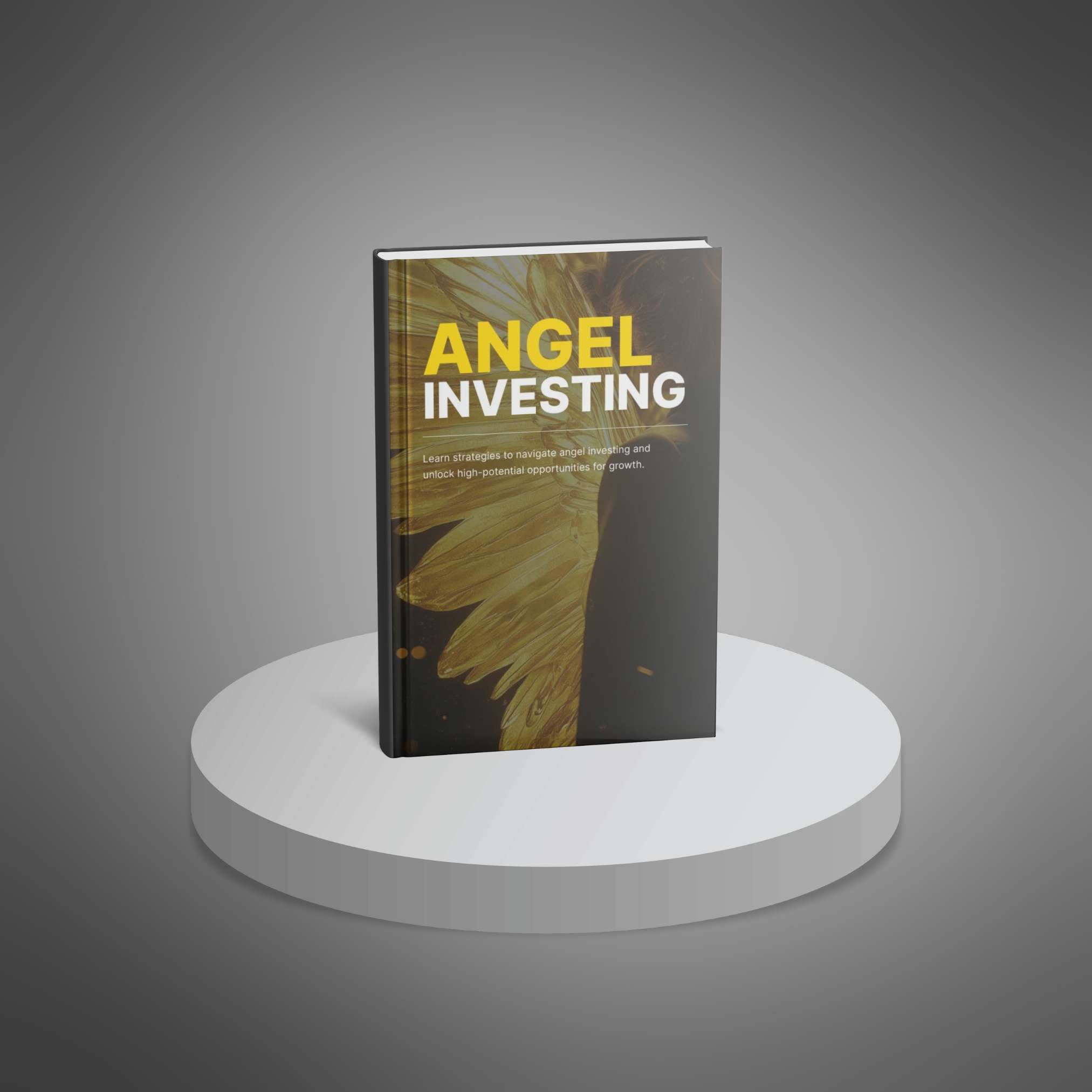 Angel Investing - Ebook - Image 3