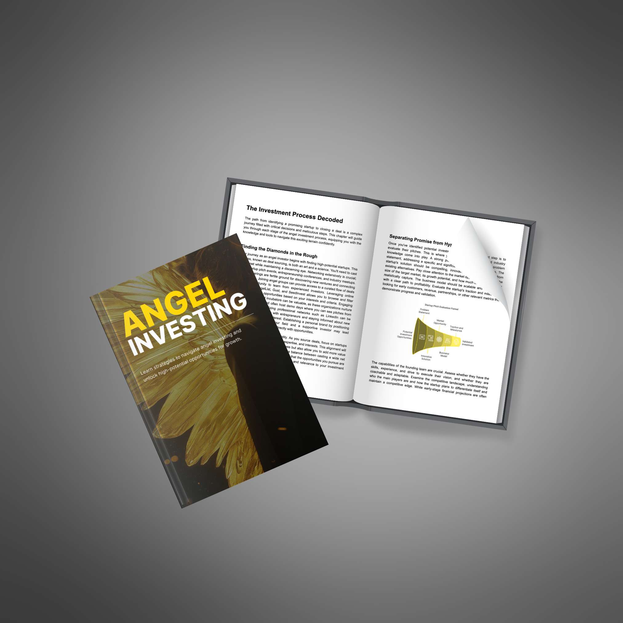 Angel Investing - Ebook - Image 4