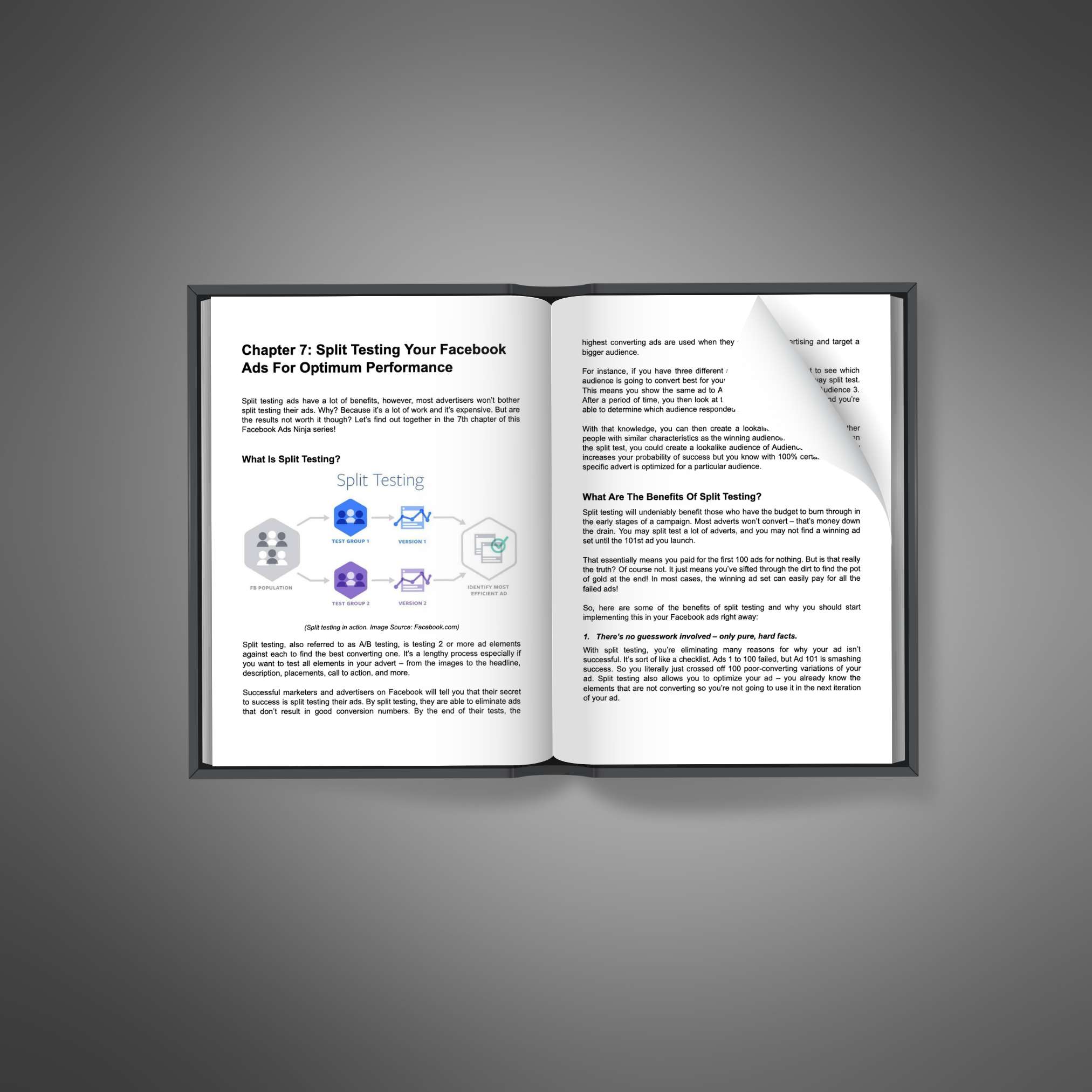 Facebook Ad Mastery - Image 2
