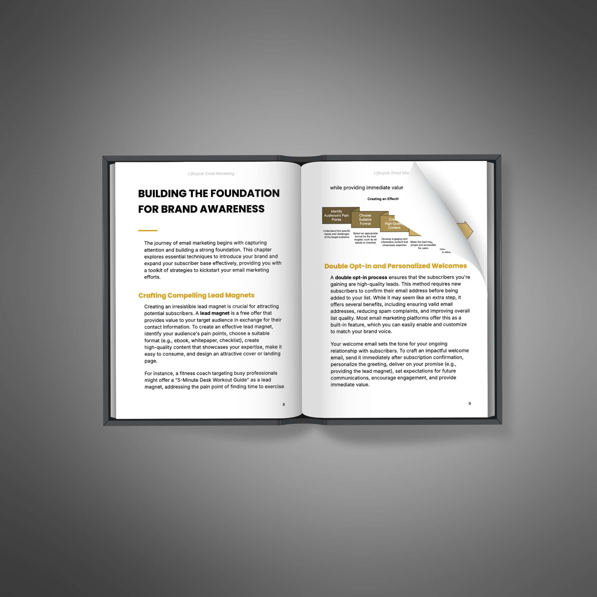 Lifecycle Email Marketing - Ebook - Image 2