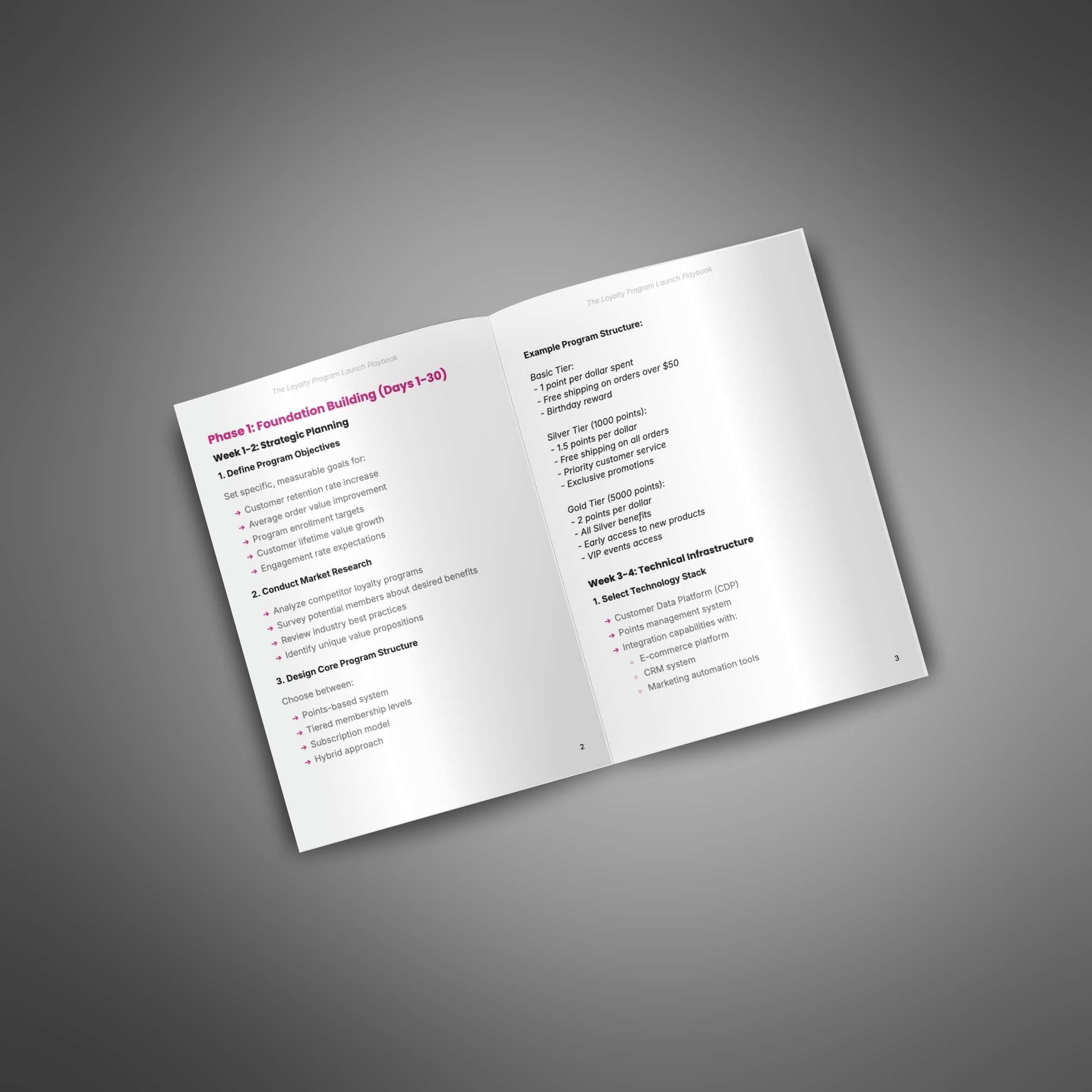 The Loyalty Program Launch Playbook - Image 3