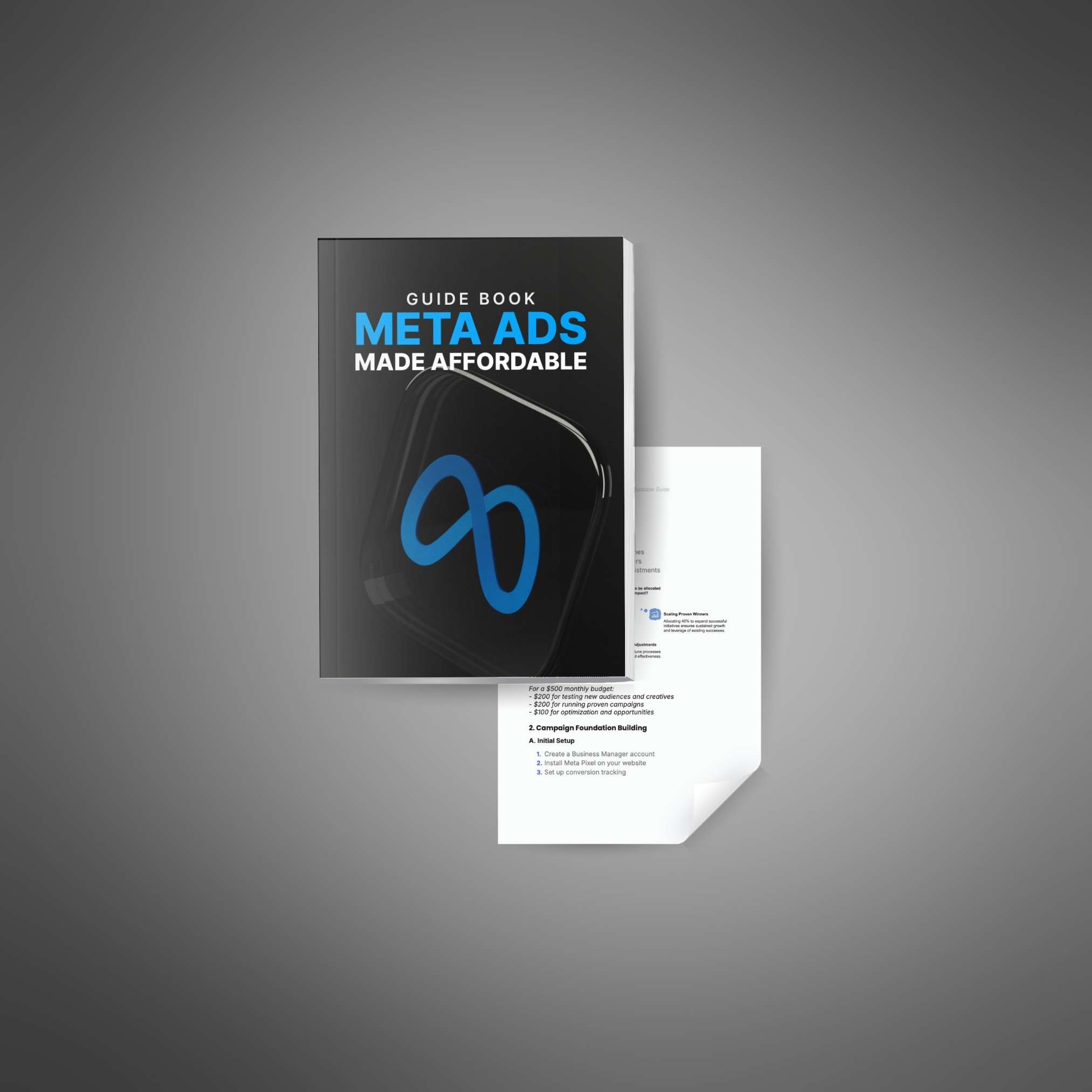 meta Ads Made Affordable - Guide - Image 2