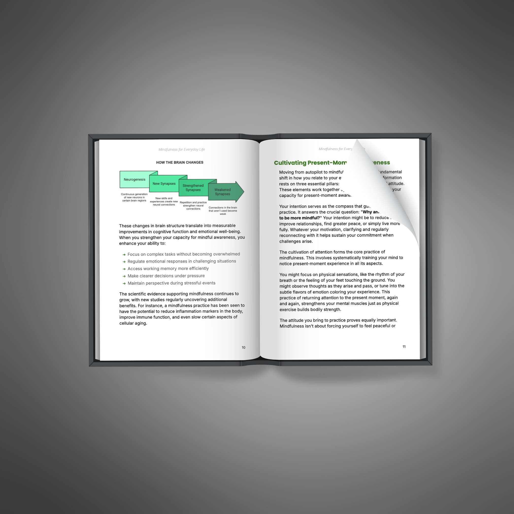 Mindfulness for Everyday Life - Image 2