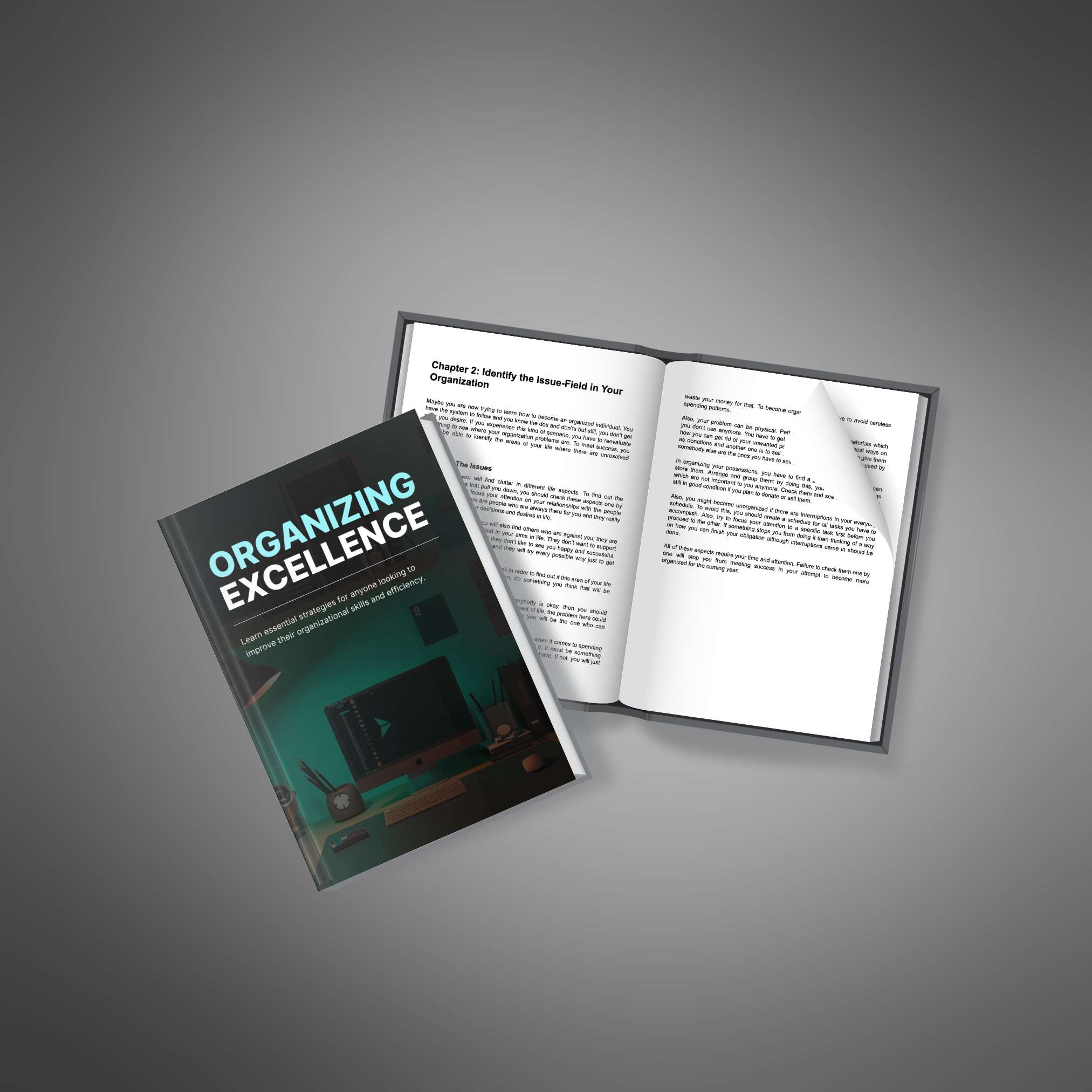 Organizing Excellence - Image 4