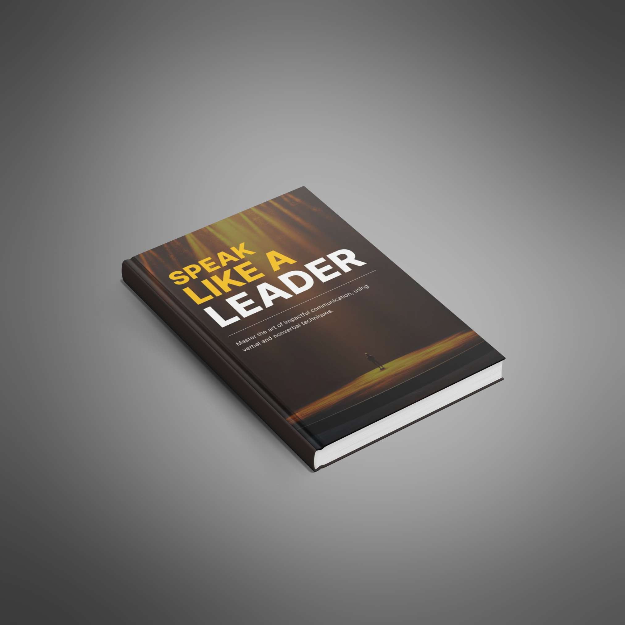 Speak Like a Leader - Main Image