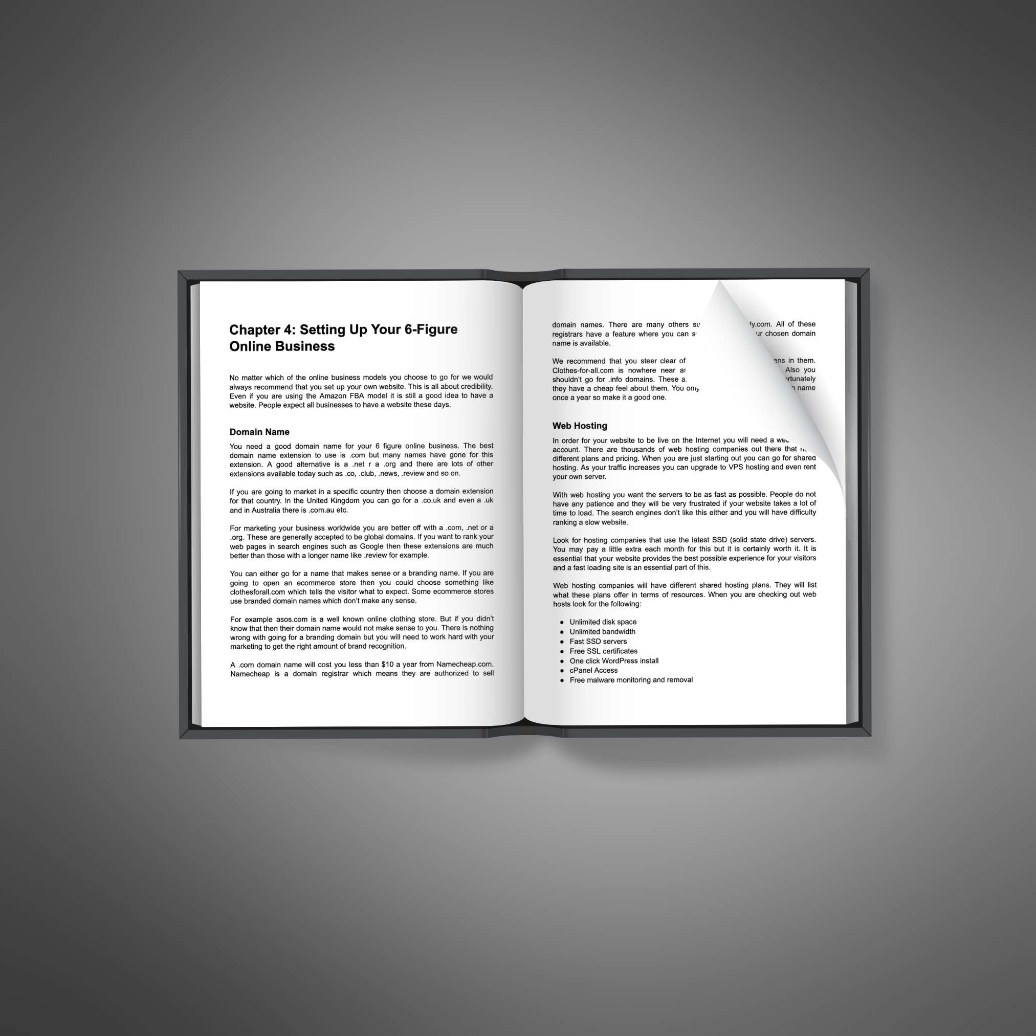 Starting 6-Figure Business - Image 2