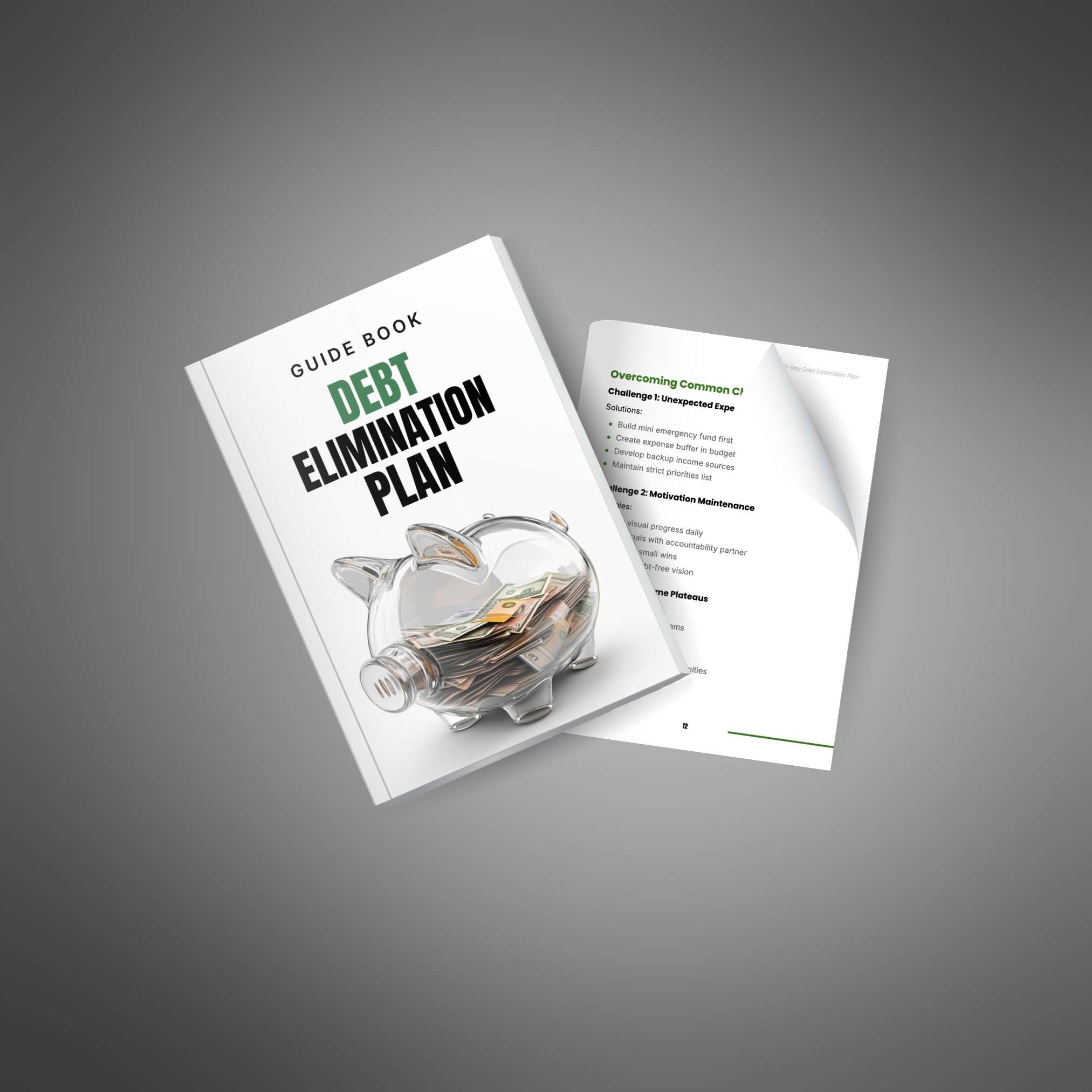 The 90-Day Debt Elimination Plan - Image 4