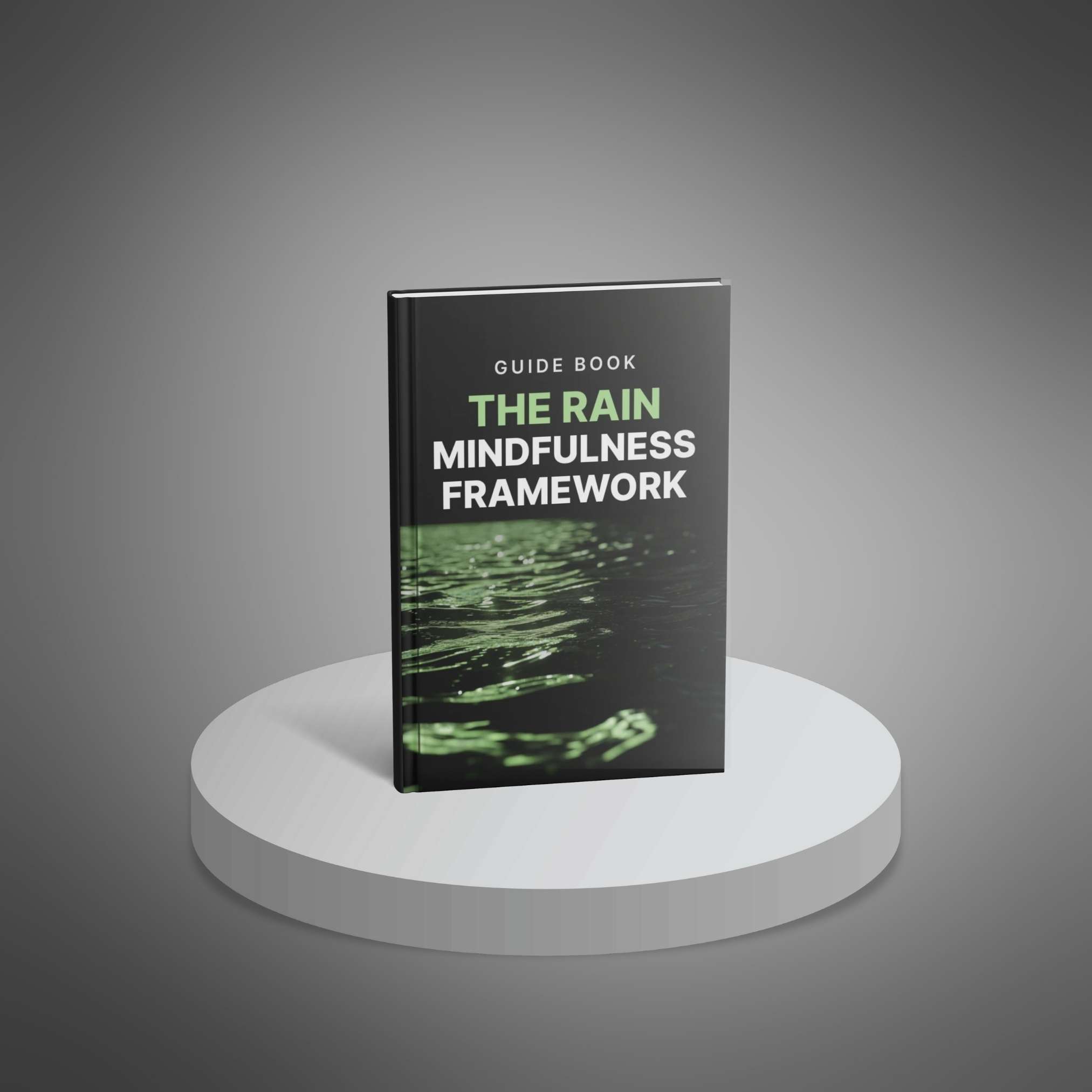 The RAIN Mindfulness Framework - Main Image