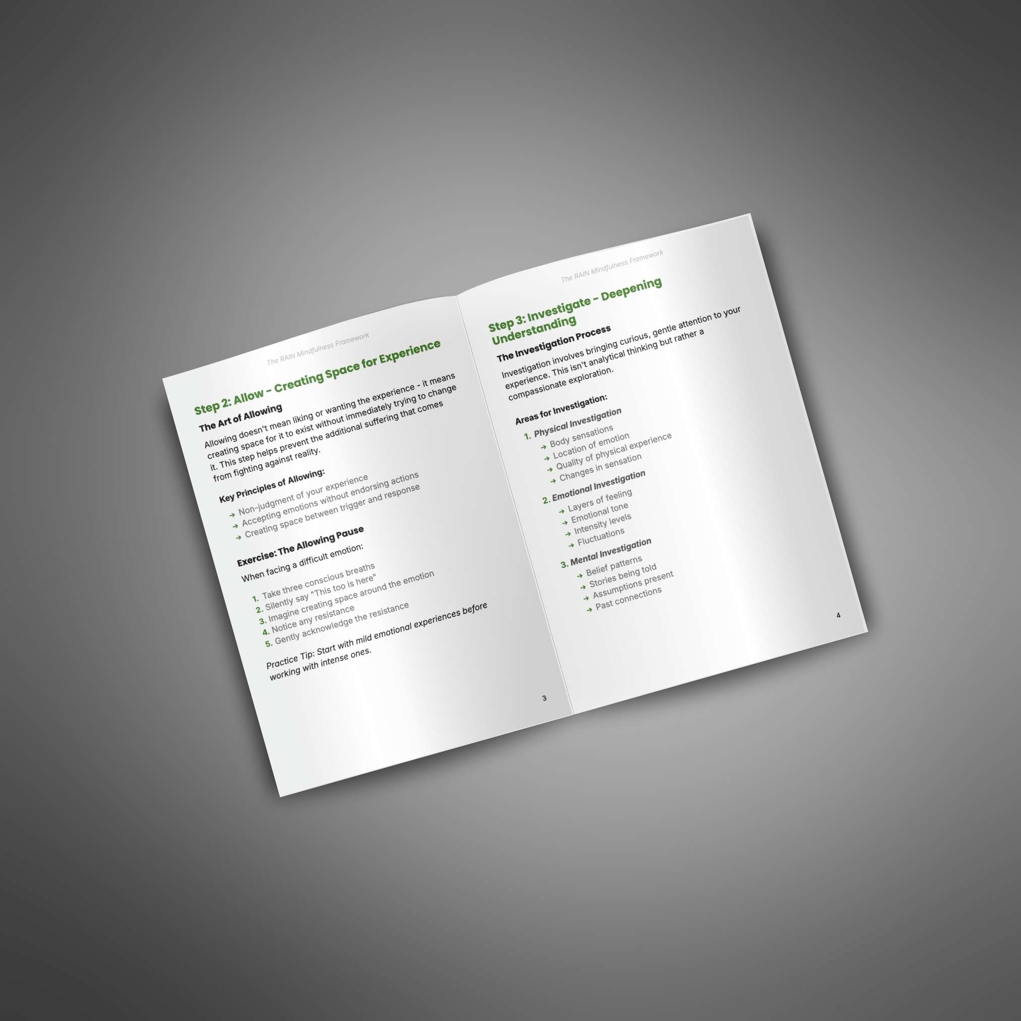 The RAIN Mindfulness Framework - Image 3