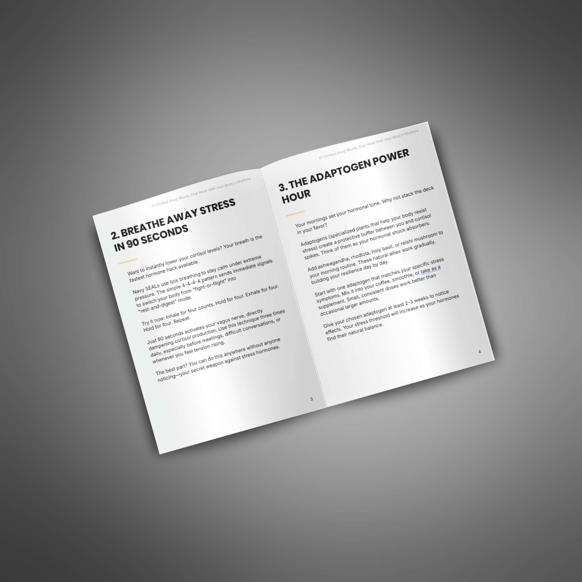 13 Cortisol Proof Rituals that Work with Your Body's Rhythms - Image 3