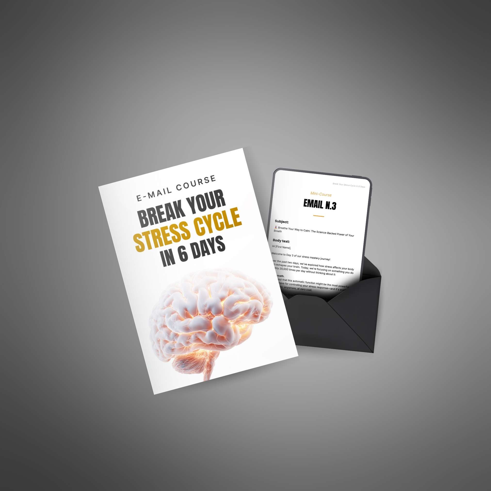 Break Your Stress Cycle in 6 Days - Image 3