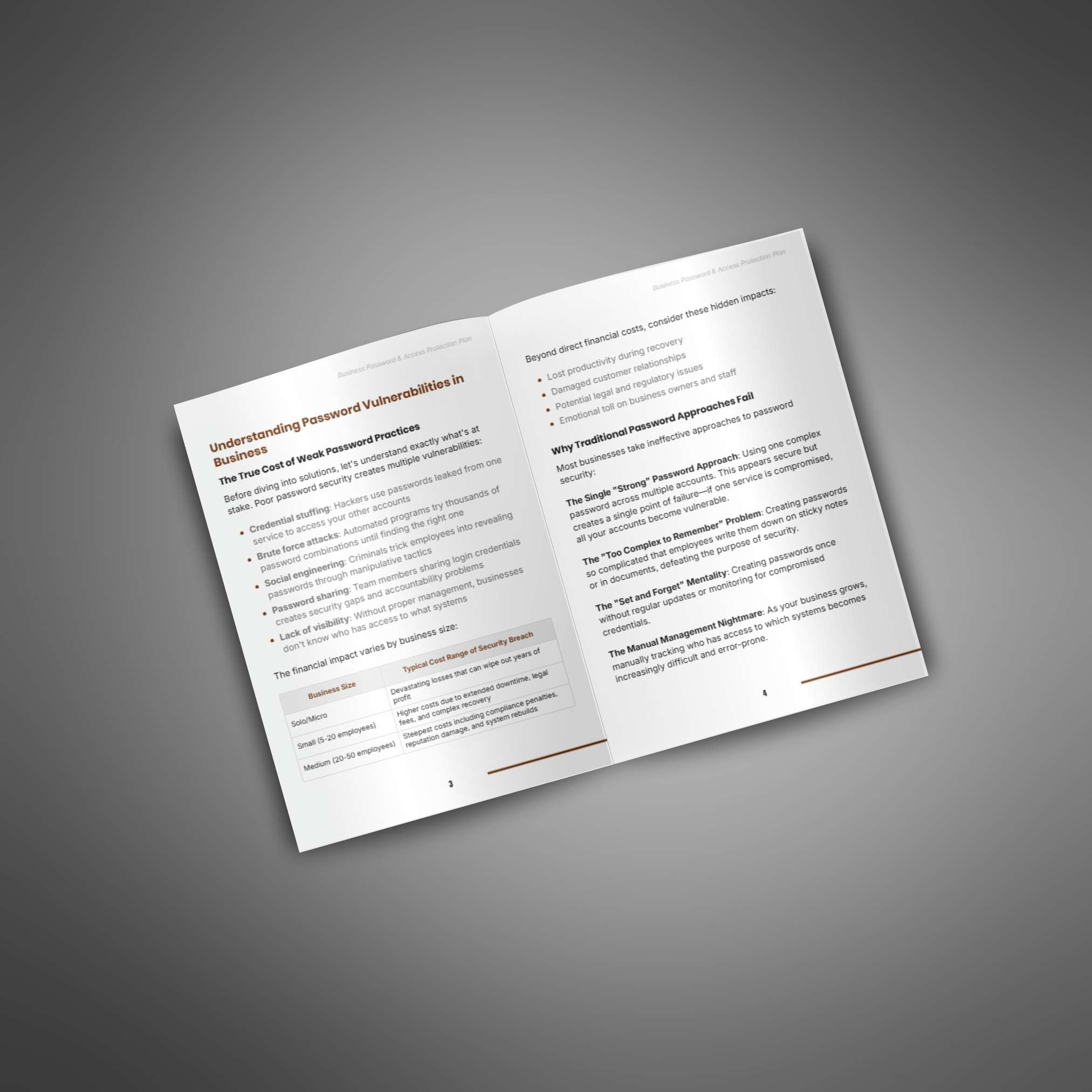 Business Password & Access Protection Plan - Image 3