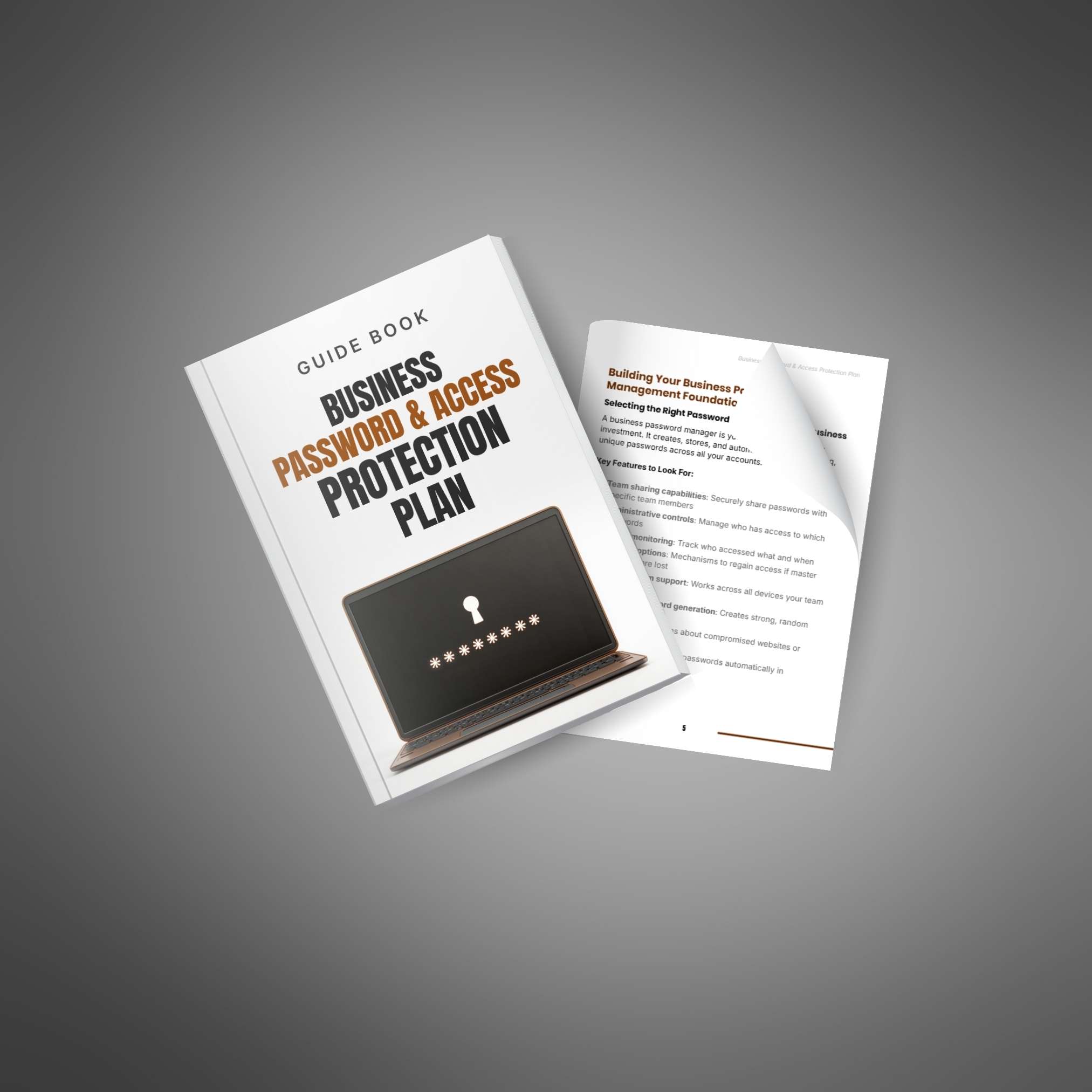 Business Password & Access Protection Plan - Image 4