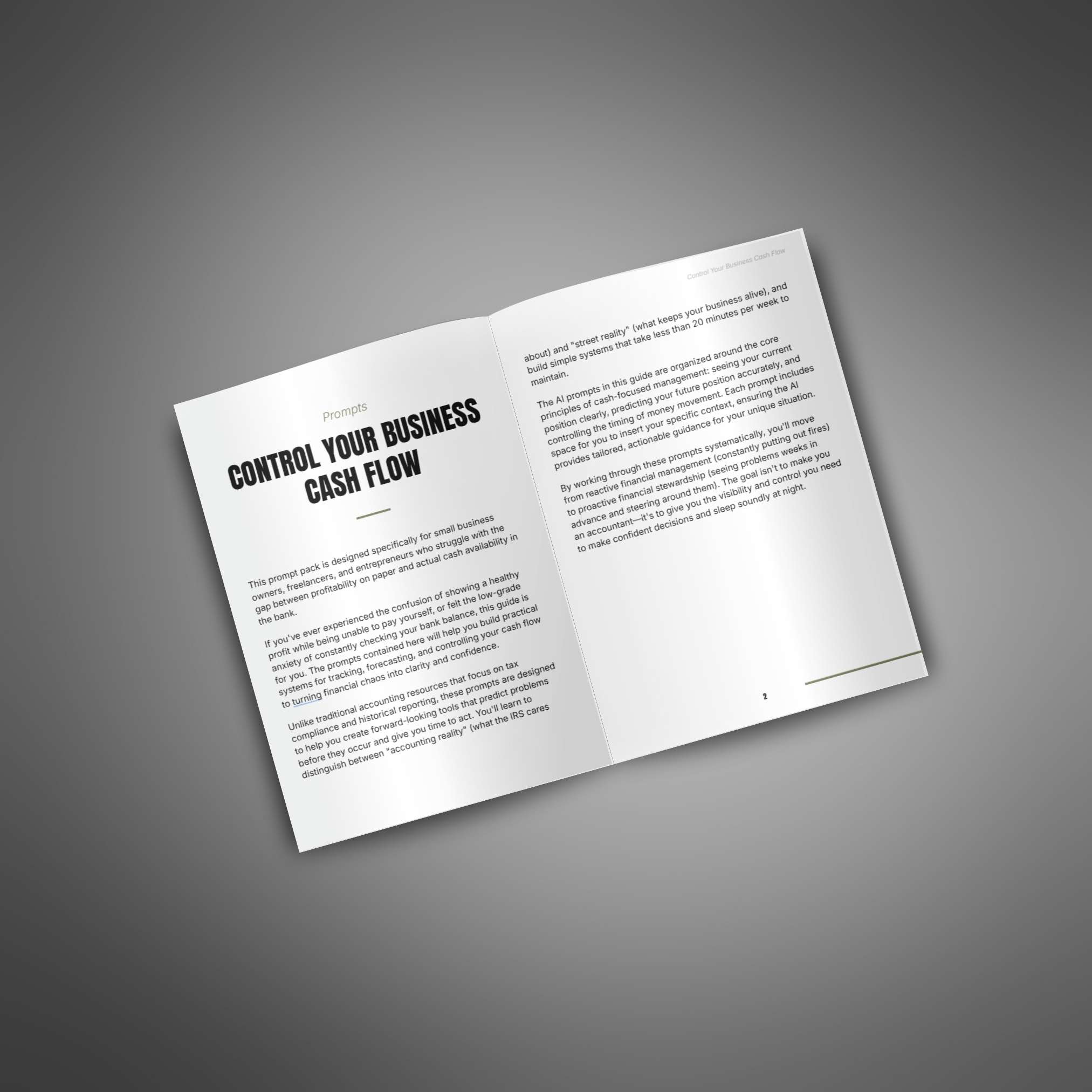 Control Your Business Cash Flow - Image 2