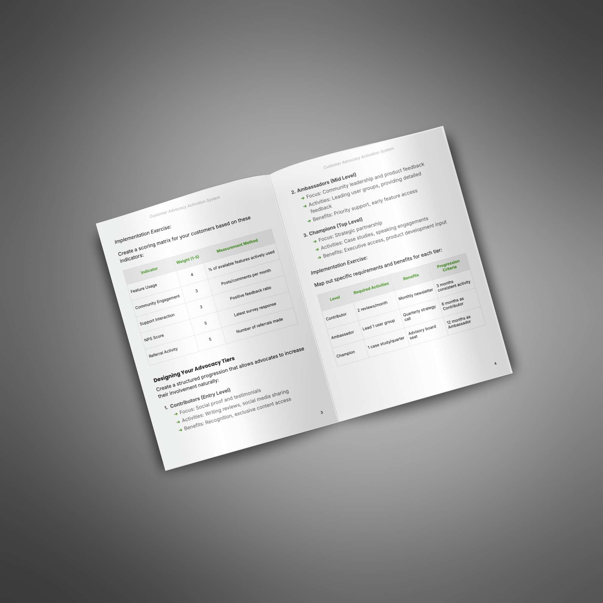 Customer Advocacy Activation System - Image 3