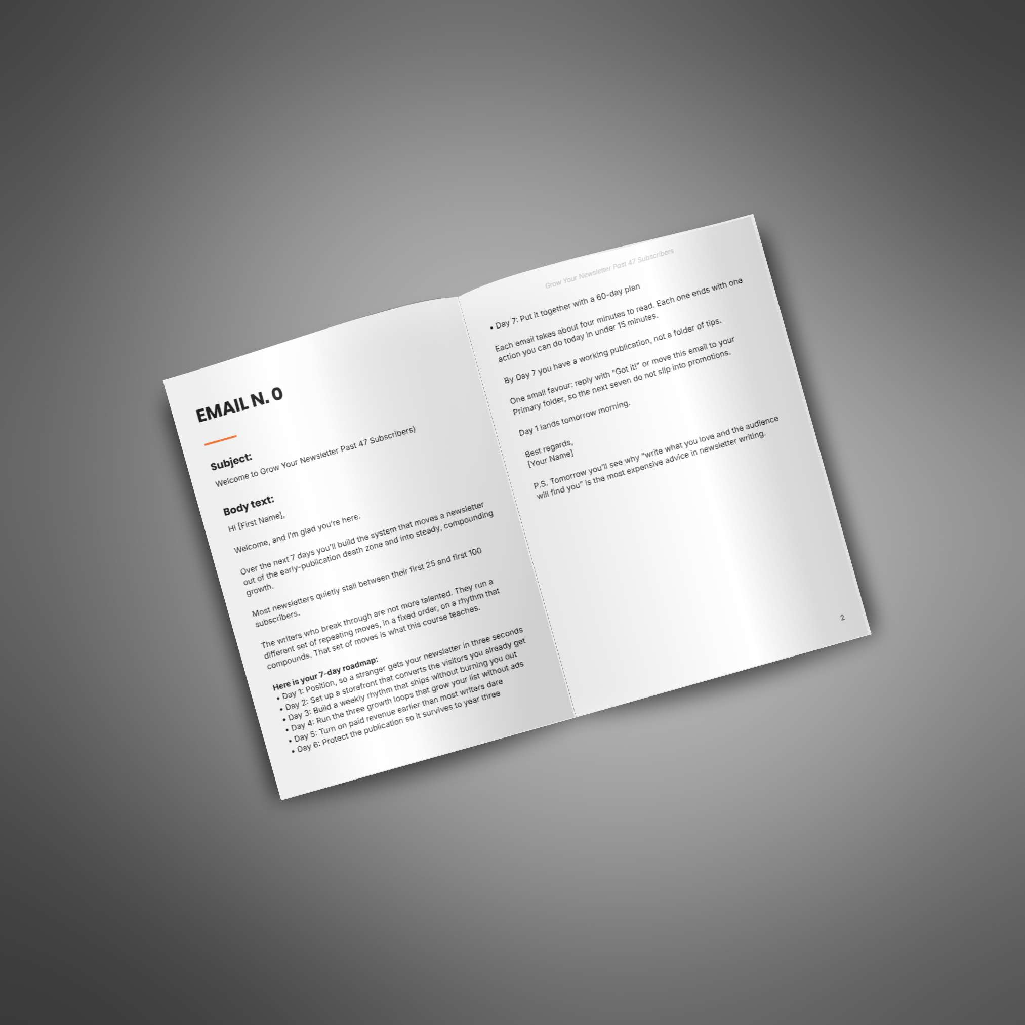 Grow Your Newsletter Past 47 Subscribers - Image 2