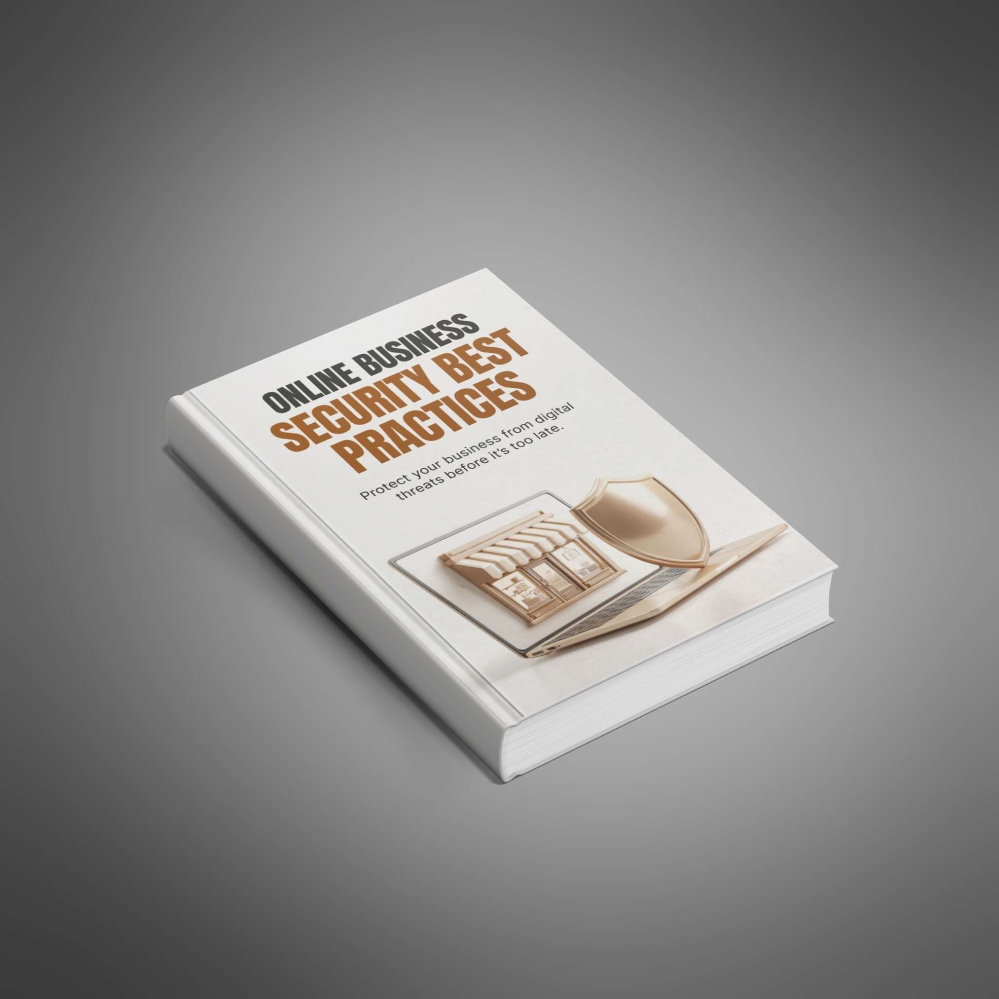 Online Business Security Best Practices - Main Image