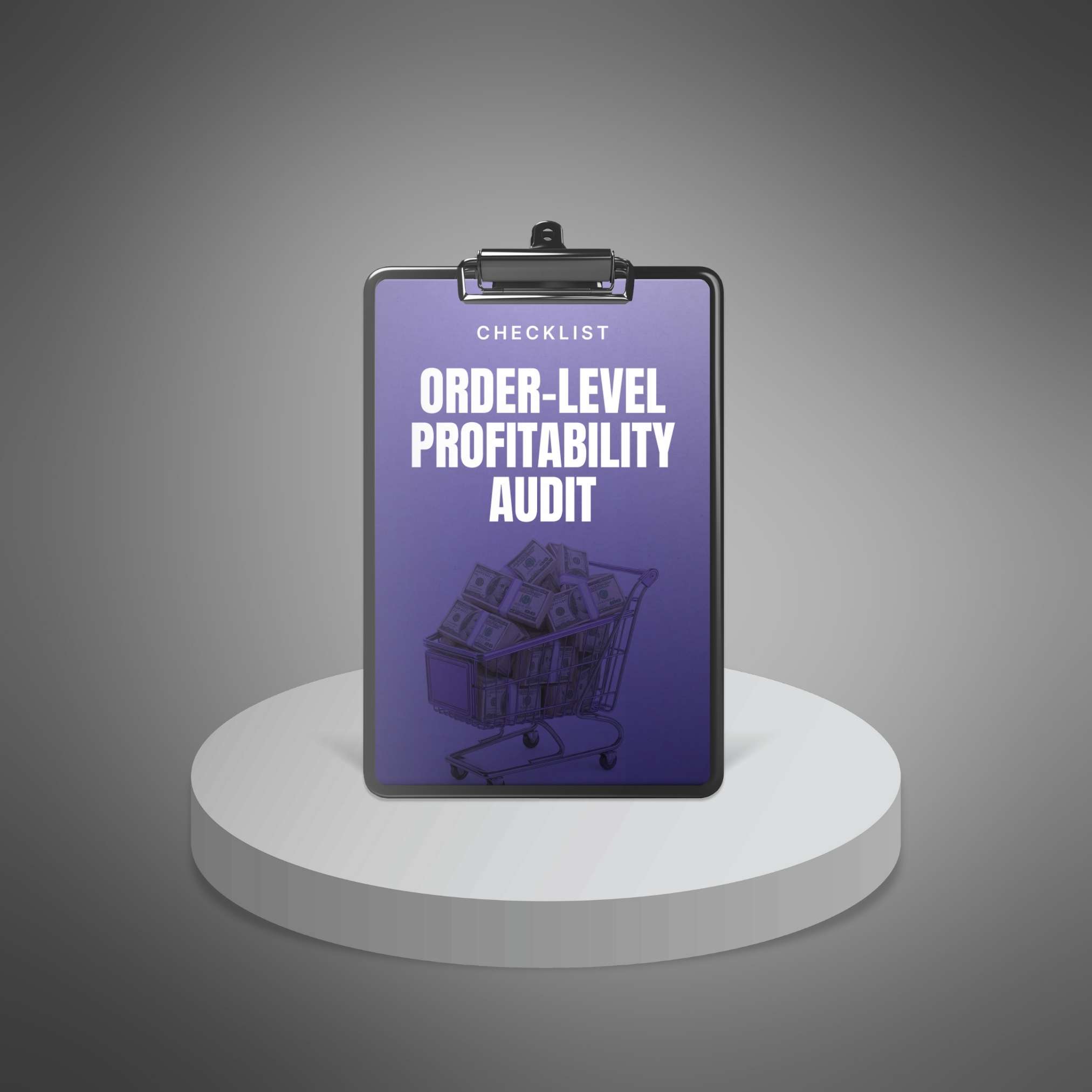 Order-Level Profitability Audit - Main Image