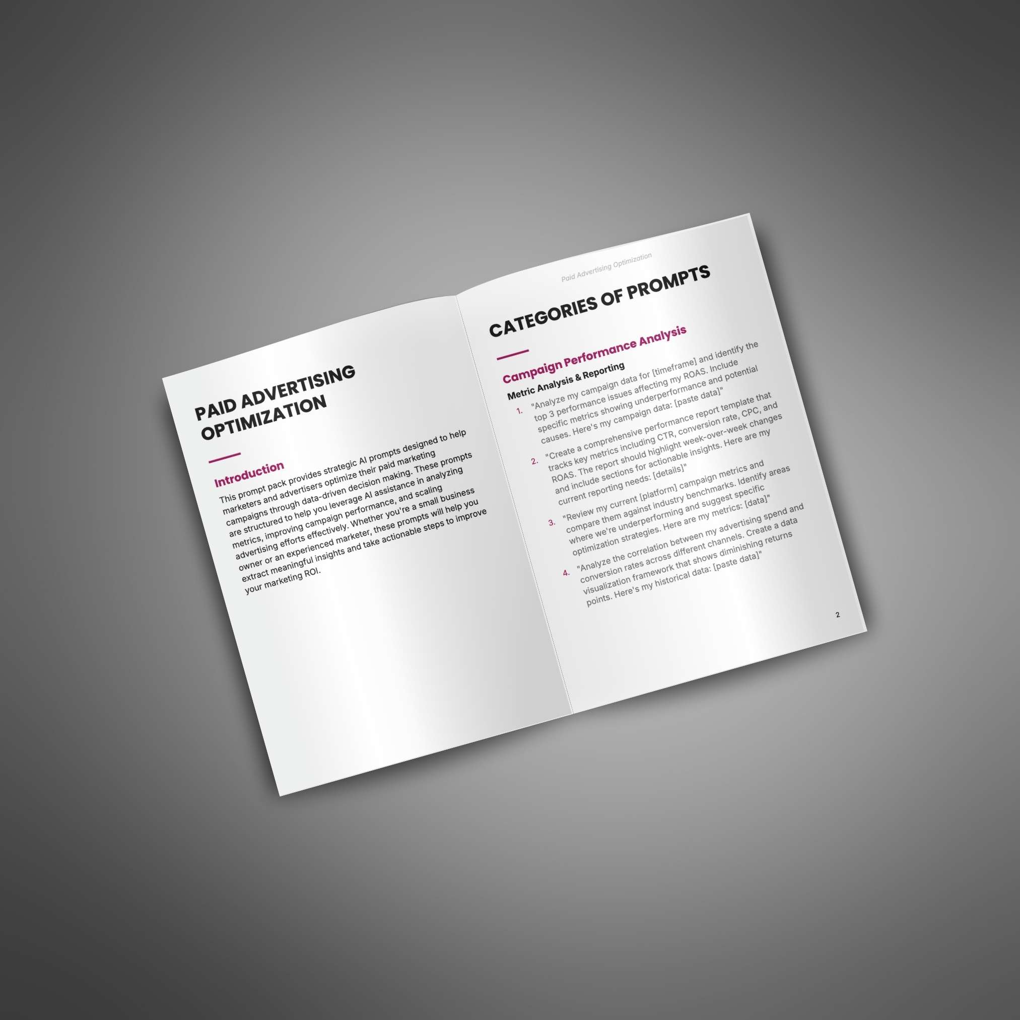 Paid Advertising Optimization - Image 2