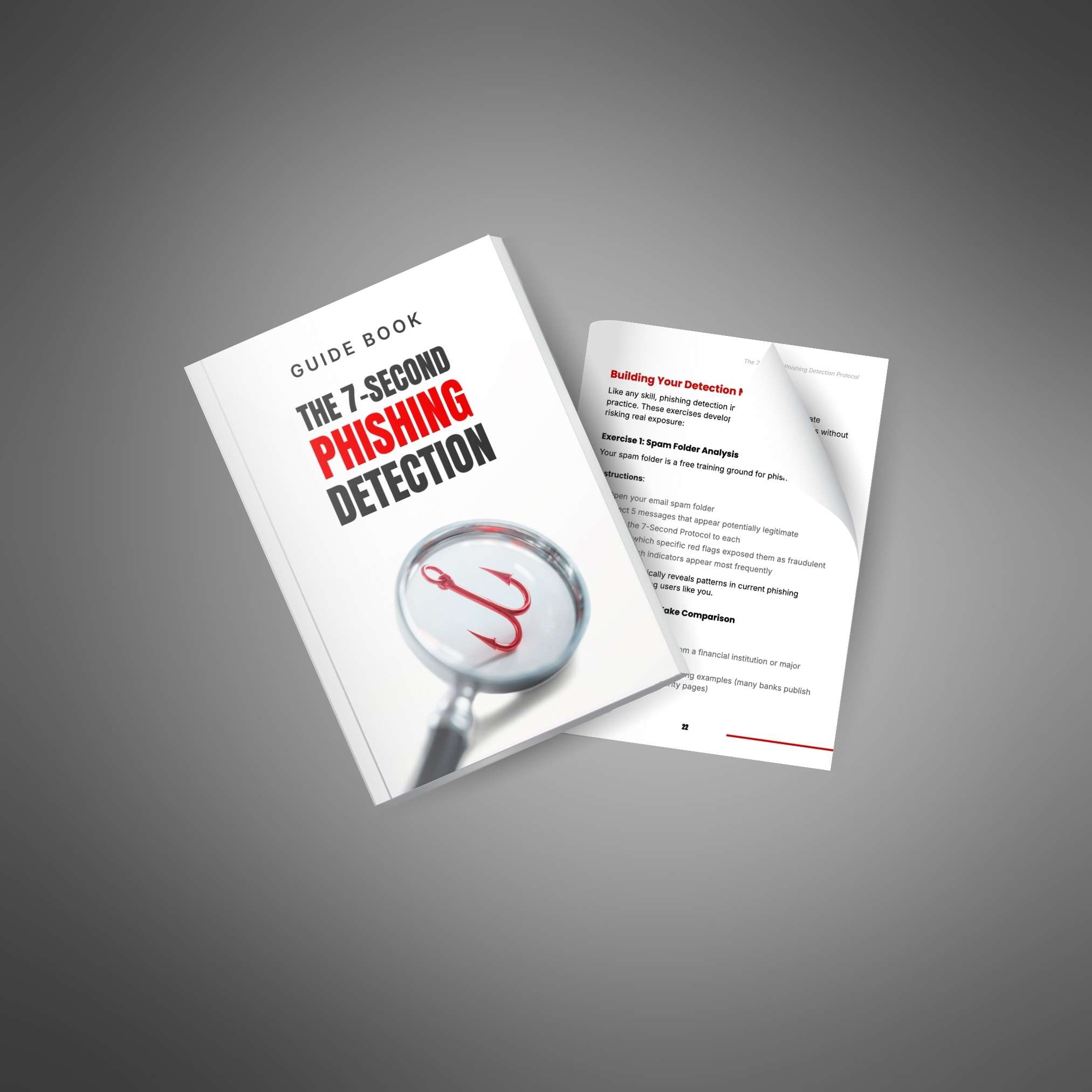 The 7-Second Phishing Detection Protocol - Image 4