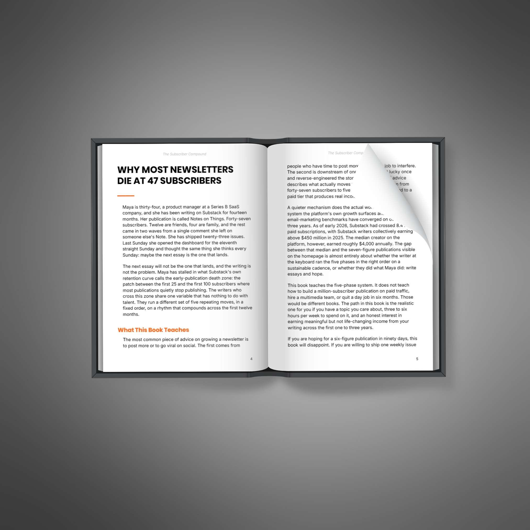 Substack Success Blueprint - Image 2