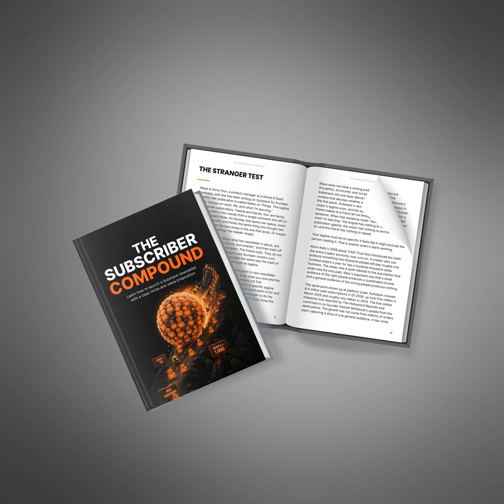 Substack Success Blueprint - Image 4