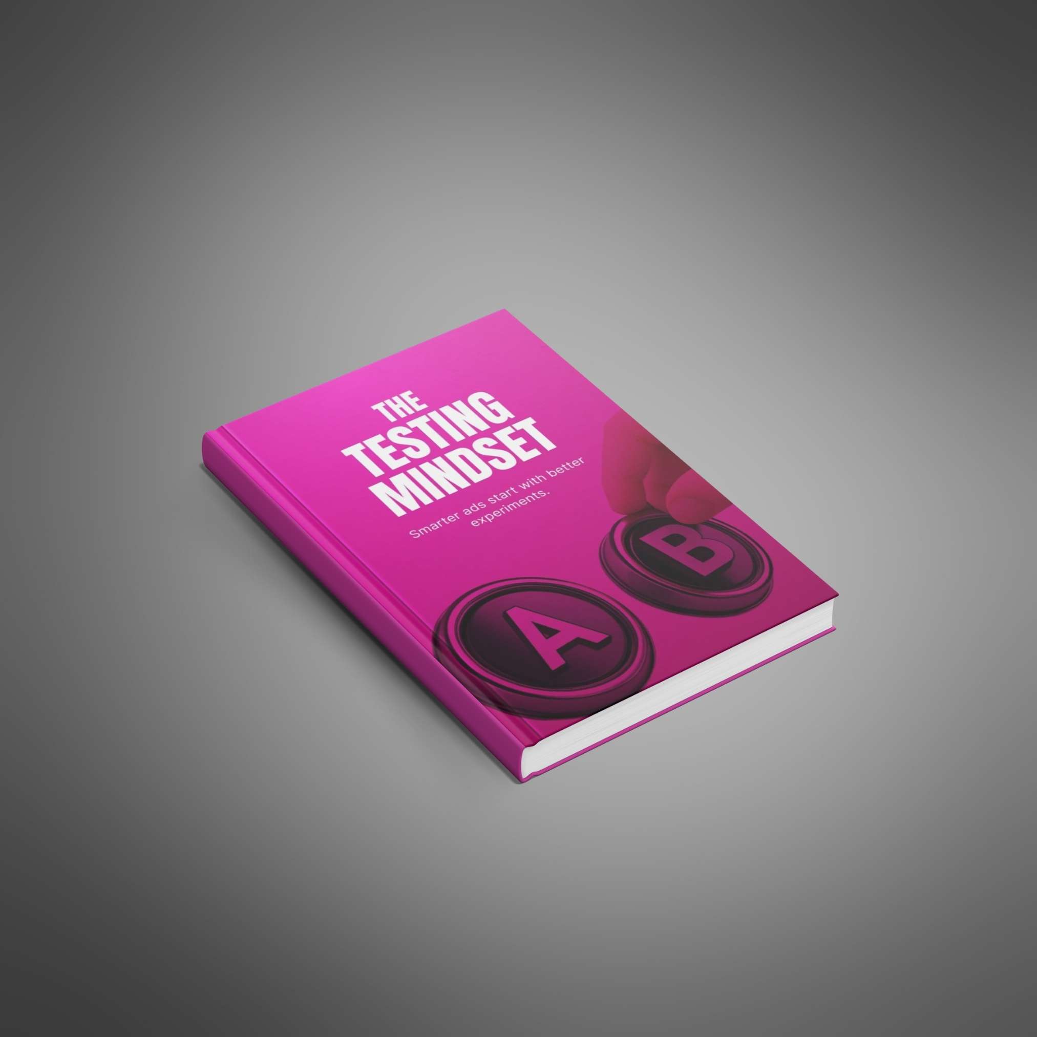 The Testing Mindset - Main Image