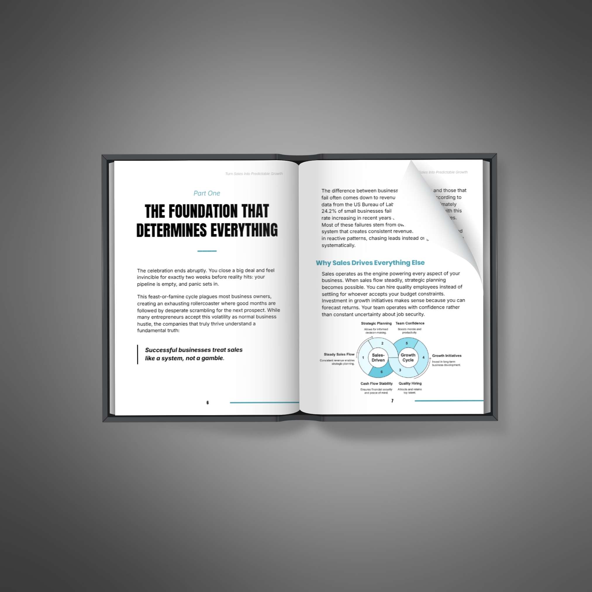Turn Sales Into Predictable Growth - Image 2